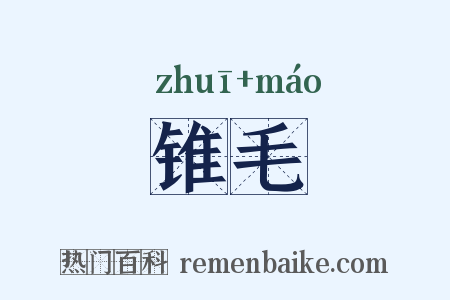锥毛是什么意思的图片